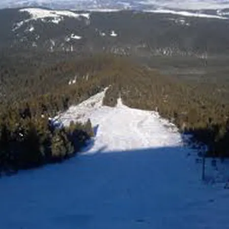 St.george Govedartsi